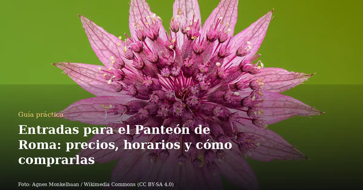 Entradas para el Panteón de Roma: precios, horarios y cómo comprarlas
