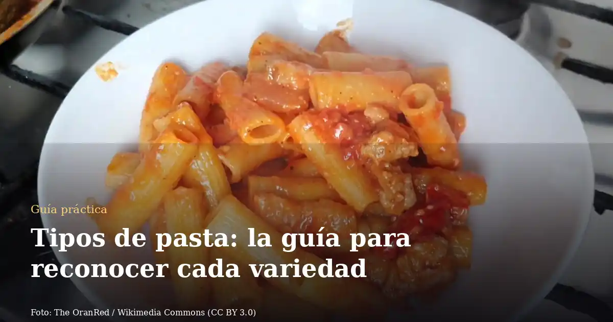 Tipos de pasta: la guía para reconocer cada variedad